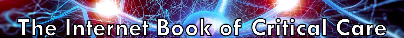 The Internet Book of Critical Care